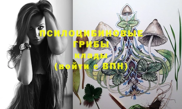 бошки Вязники