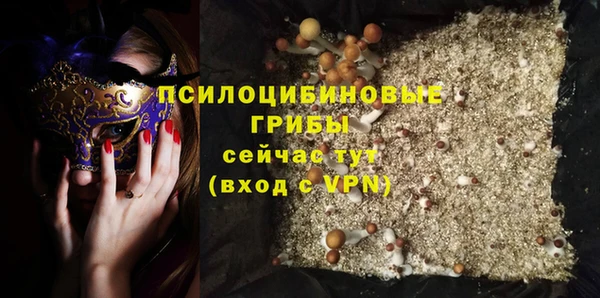гашик Горно-Алтайск