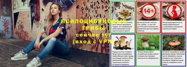 гашик Горно-Алтайск