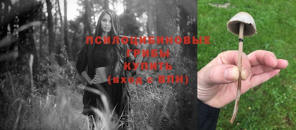 сатива Вязьма