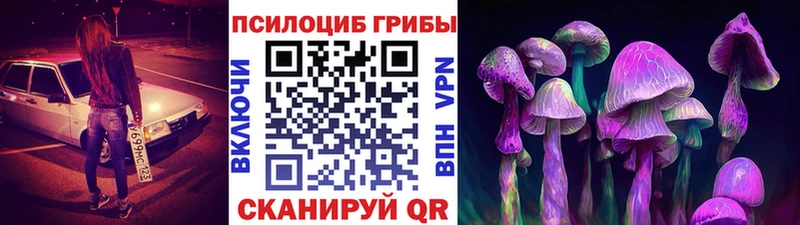 Псилоцибиновые грибы прущие грибы  дарнет шоп  Дзержинский 