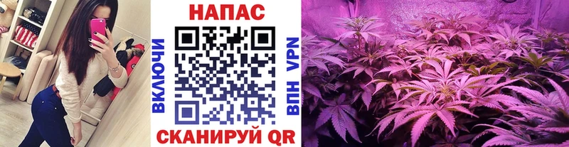 Бошки Шишки LSD WEED  купить наркотик  Дзержинский 